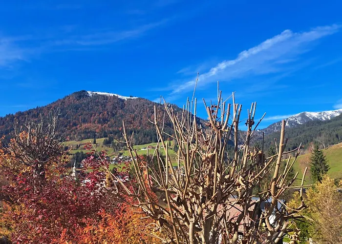 דירה 1 By Interhome Russbach (Upper Austria)