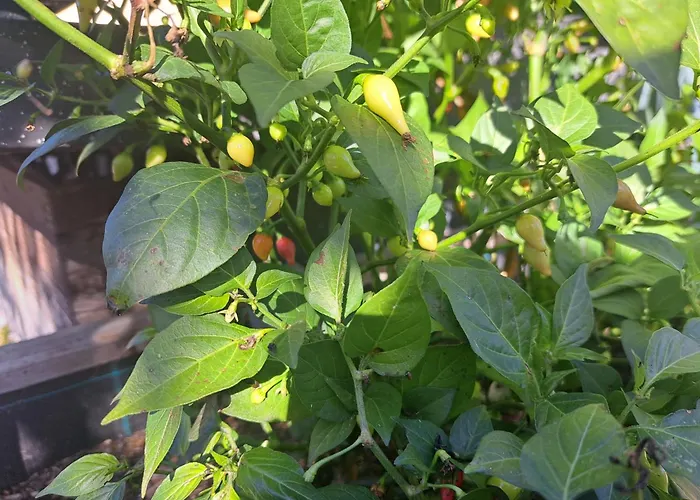 Apartman 1 By Interhome Russbach